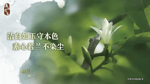 哪里有针对青少年的篮球声誉培养计划_0